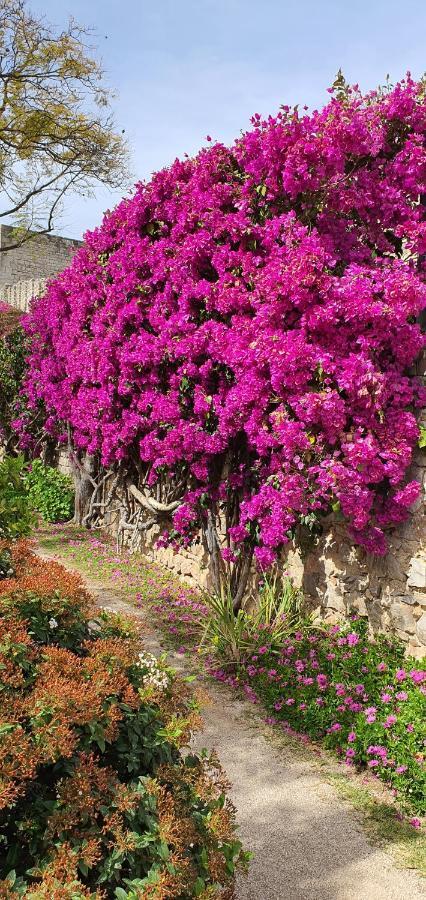 Cosy Tavira Holidays Εξωτερικό φωτογραφία